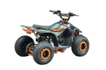 Квадроцикл WELS Tukah 110 Квадроцикл WELS Tukah 110