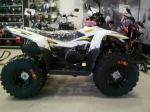Квадроцикл STELS ATV 100RS
