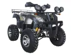 Квадроцикл Avantis Hunter 250 Premium (бензиновый 250 куб. см.)