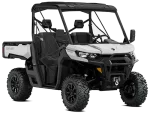 BRP Traxter XT HD10