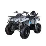 Квадроцикл Avantis Forester Long 200 Premium