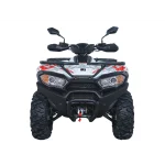 Квадроцикл Access AMX800 Long base