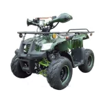 Квадроцикл (ATV) 'ATOMIK SPORT' (дисковые тормоза, спинка пассажира) Квадроцикл (ATV) 'ATOMIK SPORT' (дисковые тормоза, спинка пассажира)