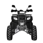 Квадроцикл Regulmoto XMR 200 Lux