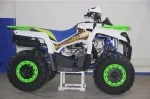 Квадроцикл AVANTIS FORESTER 200 PREMIUM