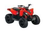 Квадроцикл BRP DS90
