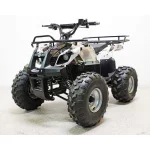 Электроквадроцикл Sherhan 1000 Электроквадроцикл Sherhan 1000