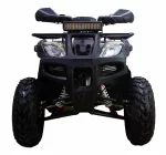 Квадроцикл ATV Classic 200 Premium
