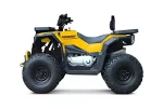 Квадроцикл Progasi RaceJumper MaxPower 200