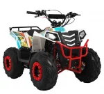 Квадроцикл WELS EVO.MAX Квадроцикл WELS EVO.MAX
