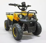 Квадроцикл GreenCamel Гоби K45 (36V 800W R6 Цепь) быстросъем, ножной тормоз Квадроцикл GreenCamel Гоби K45 (36V 800W R6 Цепь) быстросъем, ножной тормоз