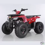 Квадроцикл TAO MOTORS HUNTER 150