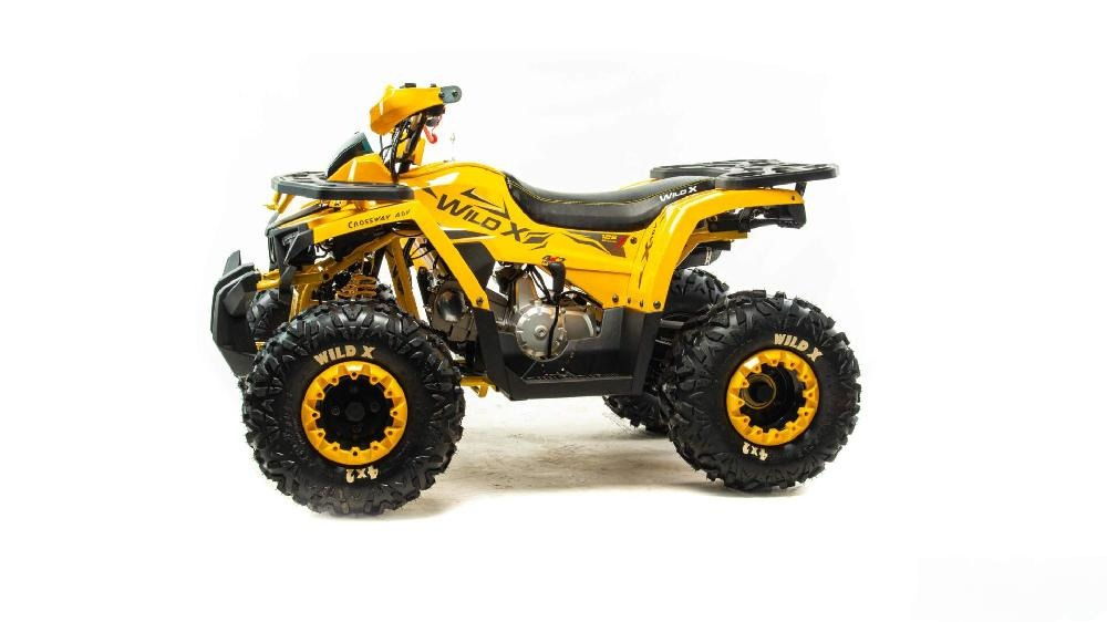 Квадроцикл MOTOLAND (МОТОЛЕНД) 125 WILD X