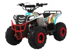 Квадроцикл WELS EVO.MAX Квадроцикл WELS EVO.MAX