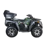 WELS 300 ATV 4×4
