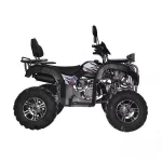 Квадроцикл Regulmoto XMR 200 Lux