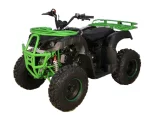 Квадроцикл Avantis Hunter 200 (баланс. вал) Квадроцикл Avantis Hunter 200 (баланс. вал)