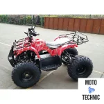 Квадроцикл GreenCamel Атакама T320 (48V 1000W R8 Дифференциал)