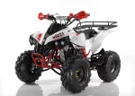 Квадроцикл бензиновый MOTAX ATV Raptor Super LUX 125 сс Квадроцикл бензиновый MOTAX ATV Raptor Super LUX 125 сс