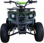 КВАДРОЦИКЛ RAPTOR 8 ATV125UF CLASSIC 125CC 4Т КВАДРОЦИКЛ RAPTOR 8 ATV125UF CLASSIC 125CC 4Т