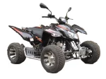 Квадроцикл ACCESS SP 300