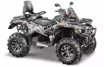 Квадроцикл Stels ATV Guepard 1000 (TE) EPS GN