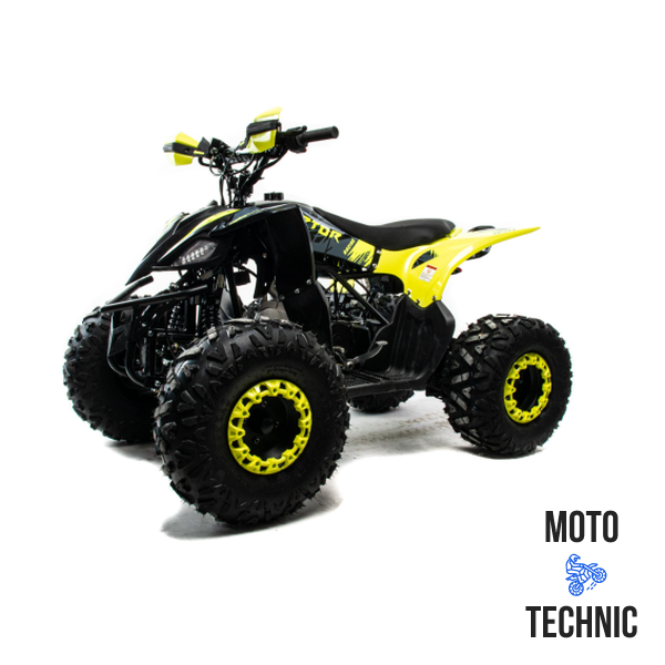 Квадроцикл MOTOLAND (МОТОЛЕНД) 125 RAPTOR A