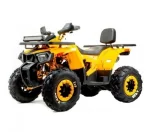 Квадроцикл MOTOLAND (МОТОЛЕНД) 200 WILD TRACK X WINCH (баланс. вал) (2022 г.)