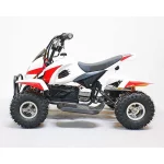 Электроквадроцикл Sherhan 100 Электроквадроцикл Sherhan 100