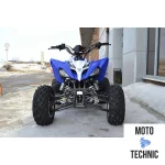 Квадроцикл MOTOLAND (МОТОЛЕНД) 250S