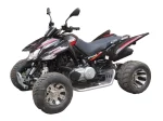 Квадроцикл ACCESS SP 300