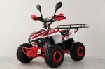 Подростковый квадроцикл Mikro А110 Подростковый квадроцикл Mikro А110