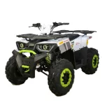 Квадроцикл AVANTIS HUNTER 200 NEW (БАЛАНС.ВАЛ) Квадроцикл AVANTIS HUNTER 200 NEW (БАЛАНС.ВАЛ)