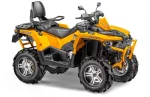 Квадроцикл STELS ATV 800 GUEPARD TROPHY