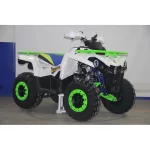 Квадроцикл AVANTIS FORESTER 200 PREMIUM