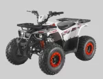 Квадроцикл TAO MOTORS HUNTER 125 cc