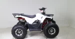 Квадроцикл TAO MOTORS HUNTER 125 cc