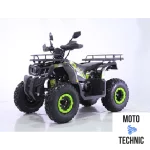 Квадроцикл TAO MOTORS REPTILE-200 (WARRIOR)