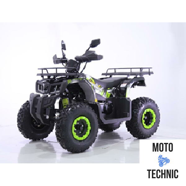 Квадроцикл TAO MOTORS REPTILE-200 (WARRIOR)