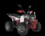 Квадроцикл WELS Thunder EVO X Квадроцикл WELS Thunder EVO X