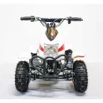 Электроквадроцикл Sherhan 100 Электроквадроцикл Sherhan 100