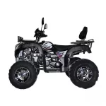 Квадроцикл Regulmoto XMR 200 Lux