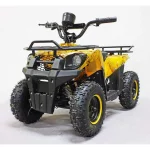 Электроквадроцикл Sherhan 300 Электроквадроцикл Sherhan 300