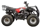 Квадроцикл YACOTA SELA 200
