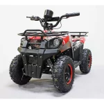 Электроквадроцикл Sherhan 300 Электроквадроцикл Sherhan 300