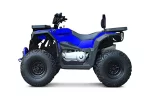 Квадроцикл Progasi RaceJumper MaxPower 200