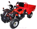 Квадроцикл Armada ATV 250 B-1 (с кузовом) Квадроцикл Armada ATV 250 B-1 (с кузовом)