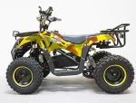 Квадроцикл GreenCamel Гоби K40 (36V 800W R6 Цепь) быстросъем Квадроцикл GreenCamel Гоби K40 (36V 800W R6 Цепь) быстросъем