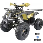 Квадроцикл (АТV) 'TERMIT TT ATM' Квадроцикл (АТV) 'TERMIT TT ATM'