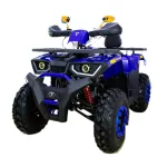 Квадроцикл Avantis Hunter 200 New LUX (баланс.вал) Квадроцикл Avantis Hunter 200 New LUX (баланс.вал)